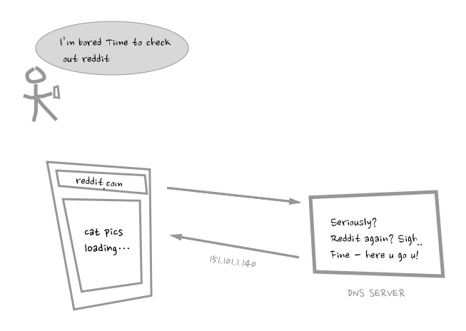 DNS - the science bit