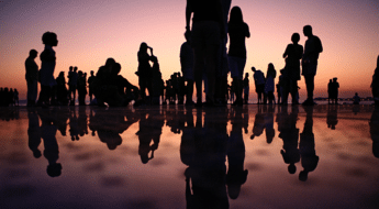 30+ Best BuddyPress themes